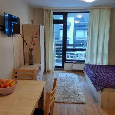 In Aspen Apartment *