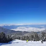 In Aspen * Bansko