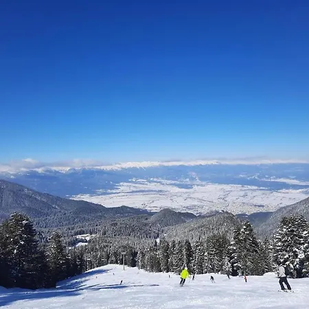In Aspen * Bansko